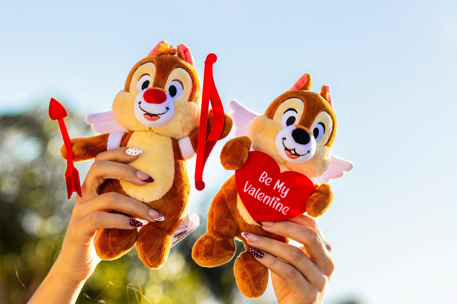 Seasons of love collection at disney world