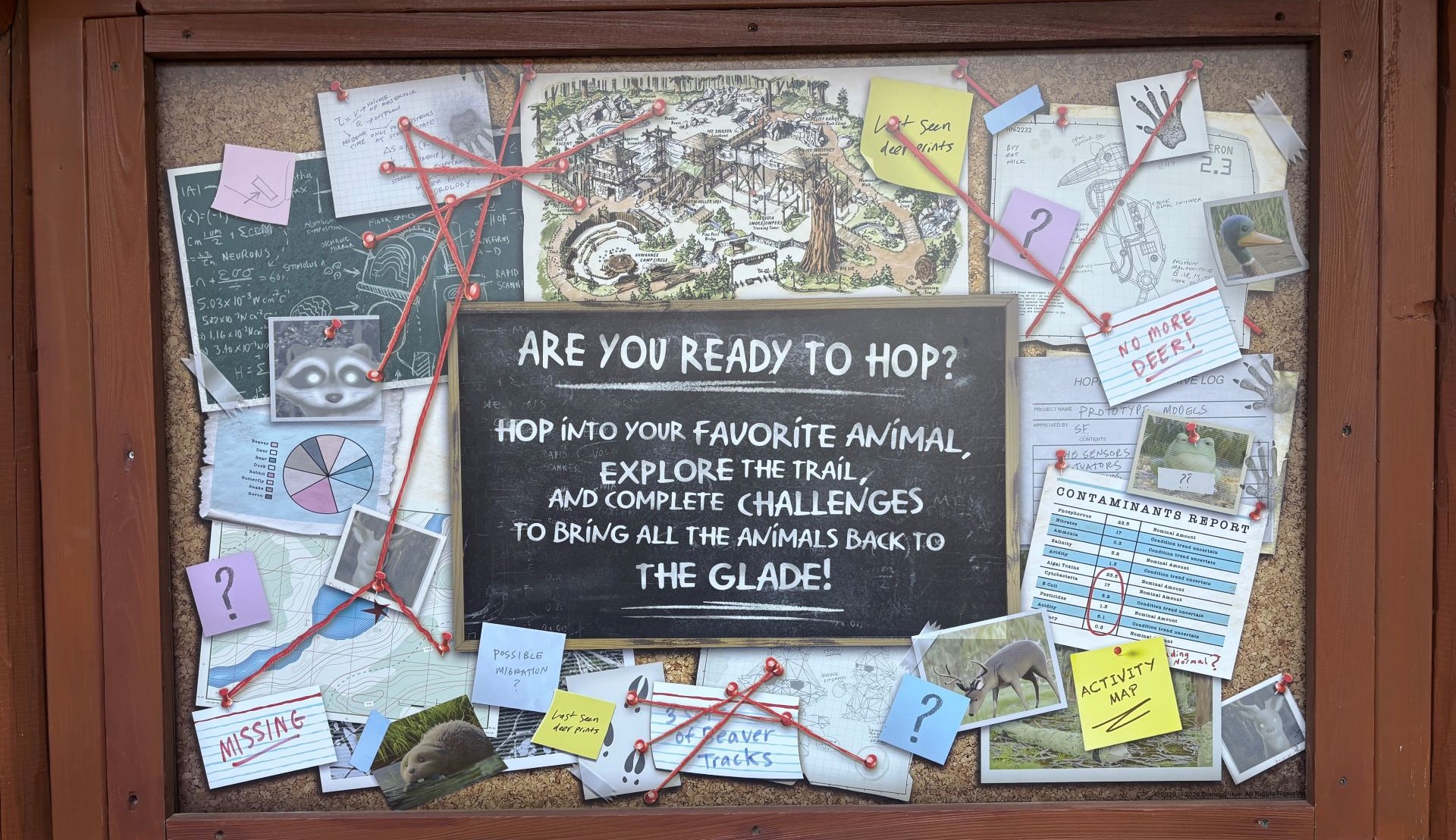 Are you ready to hop redwood creek challenge trail 1