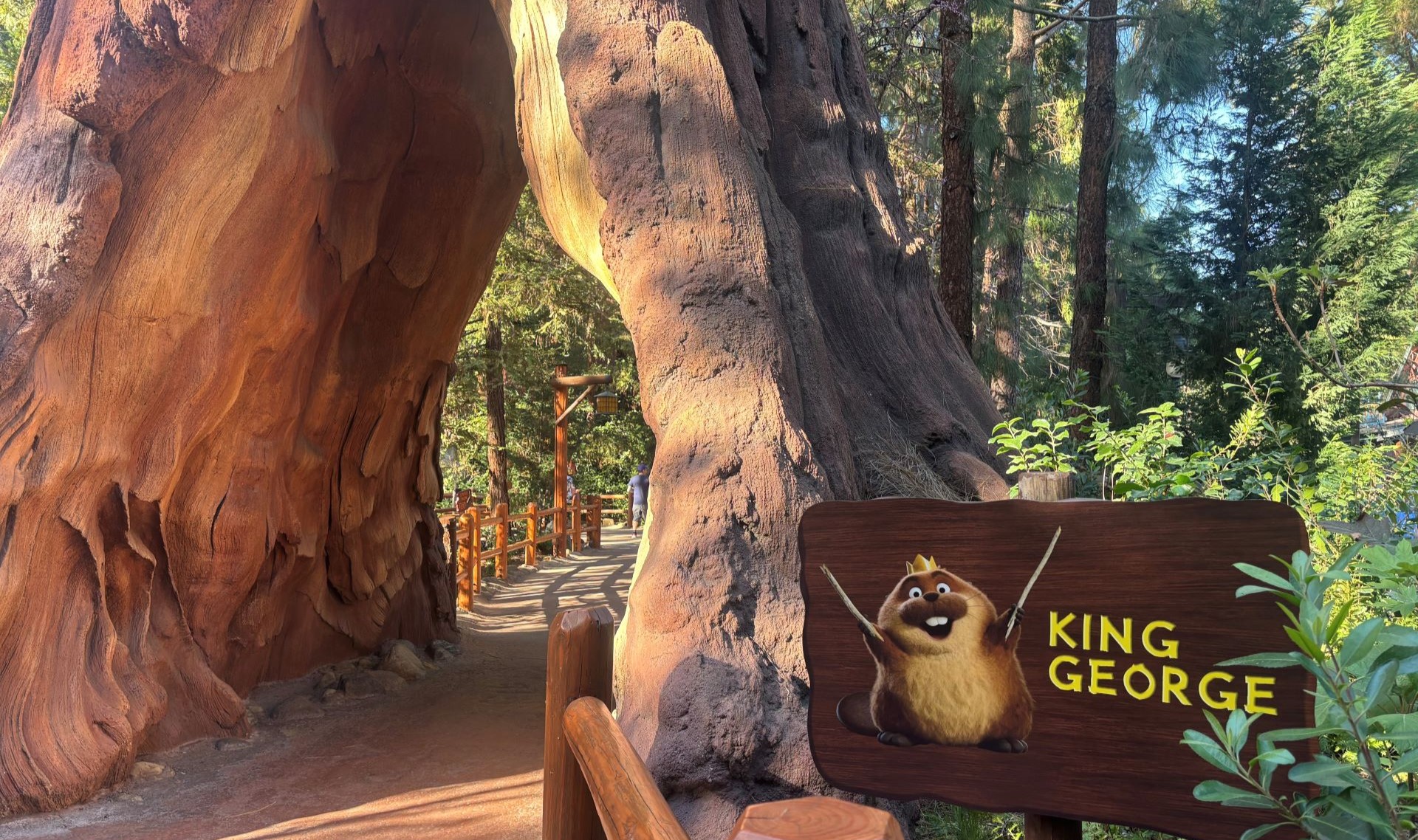 King george hoppers redwood creek challenge trail 2