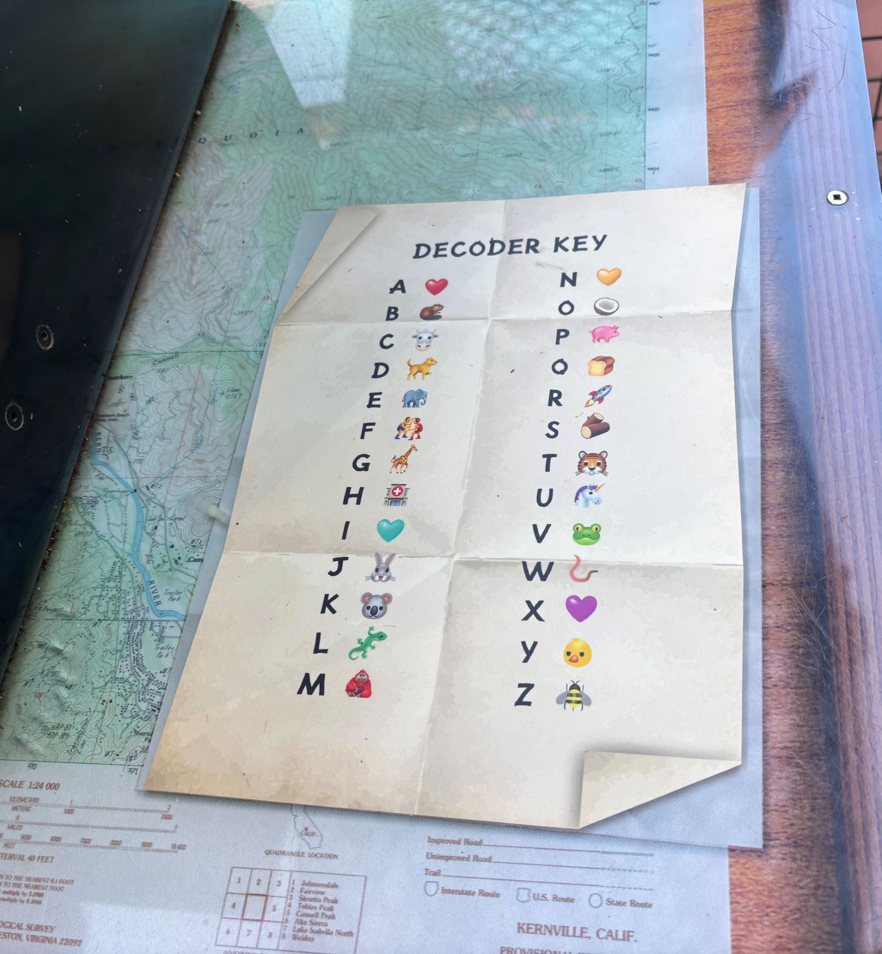 Tom lizard decoder key