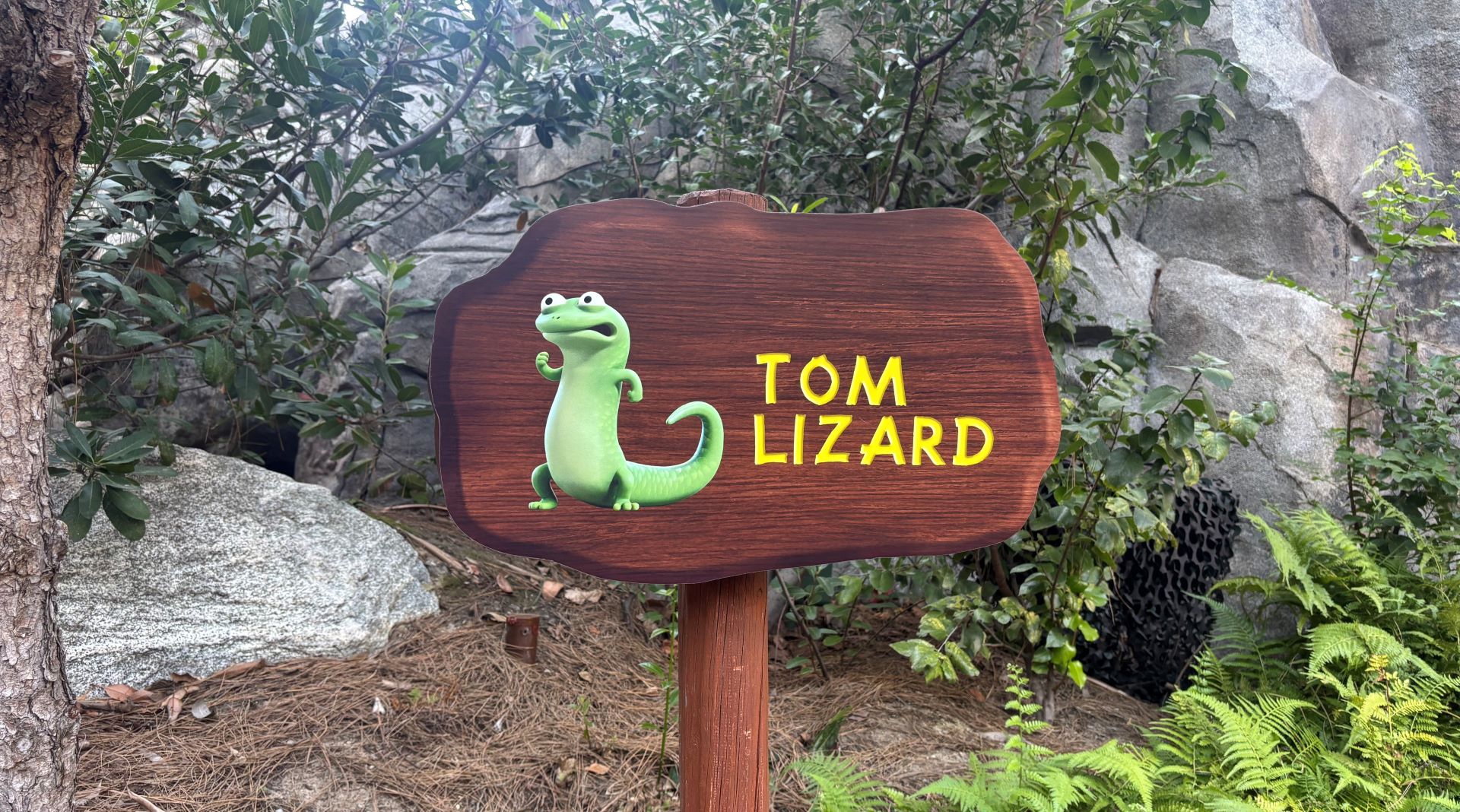 Tom lizard hoppers at california adventure 1