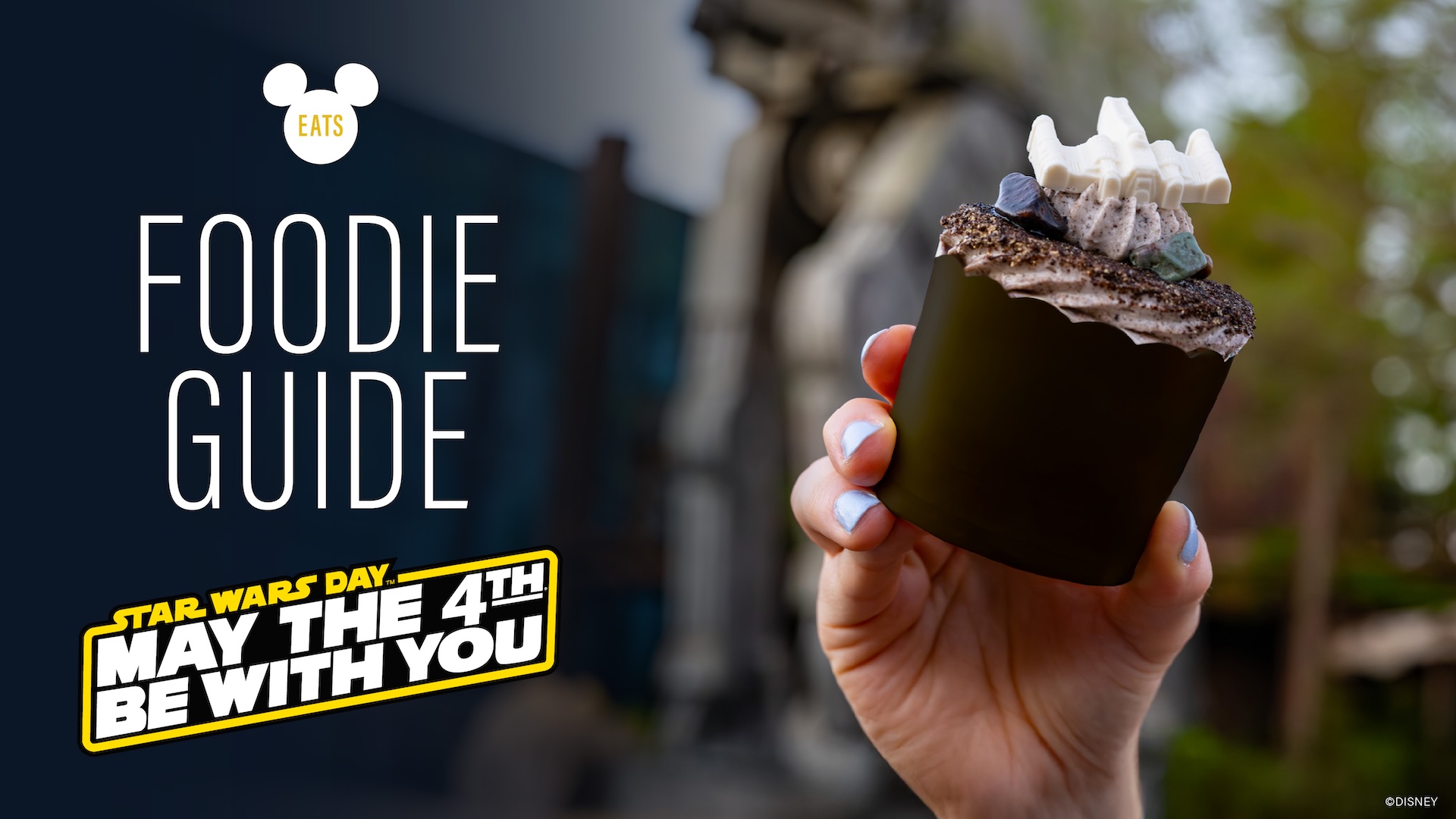 Disneys May the 4th Food Guide 2026 All the Must try Treats