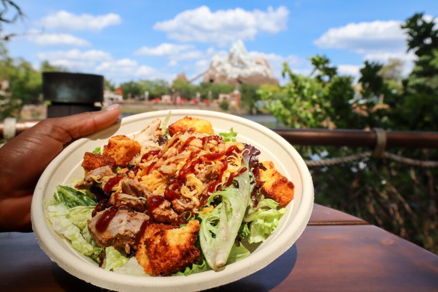 2026 WDW Animal Kingdom Food Expedition 11
