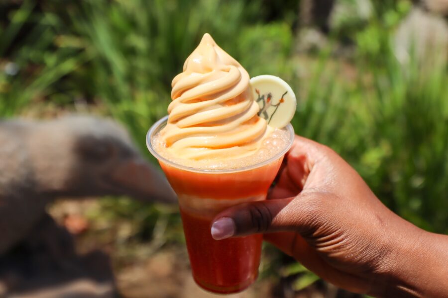 2026 WDW Animal Kingdom Food Expedition 9