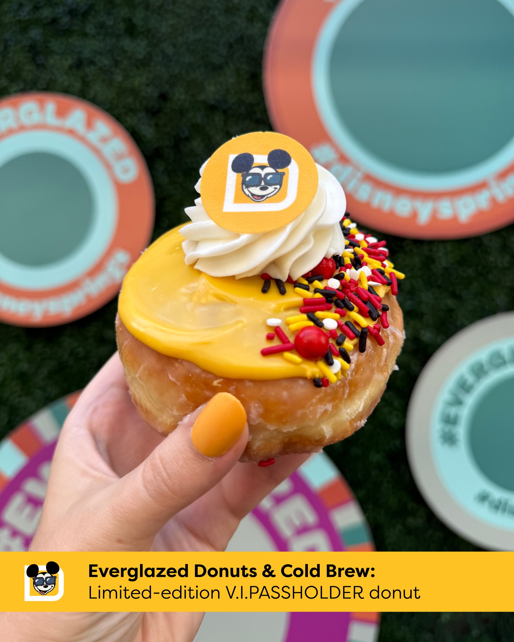 Everglazed Donuts Cold Brew