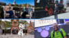 Disney Experiences Wins Big at the Telly and Shorty Awards