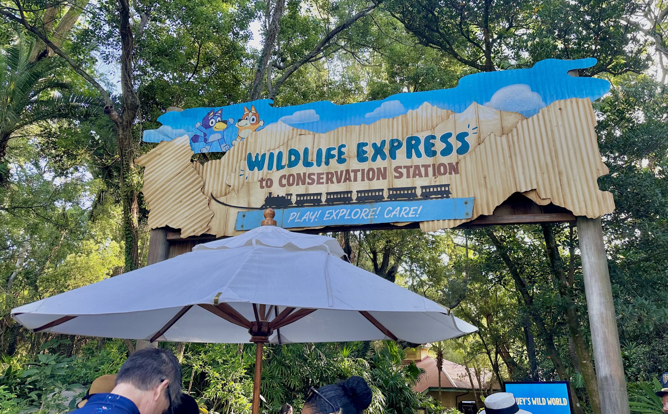 Blueys Wild World