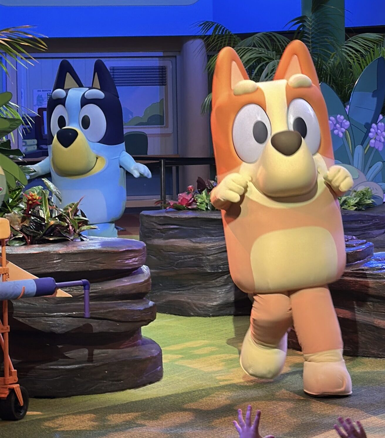 Bluey and Bingo Animal Kingdom