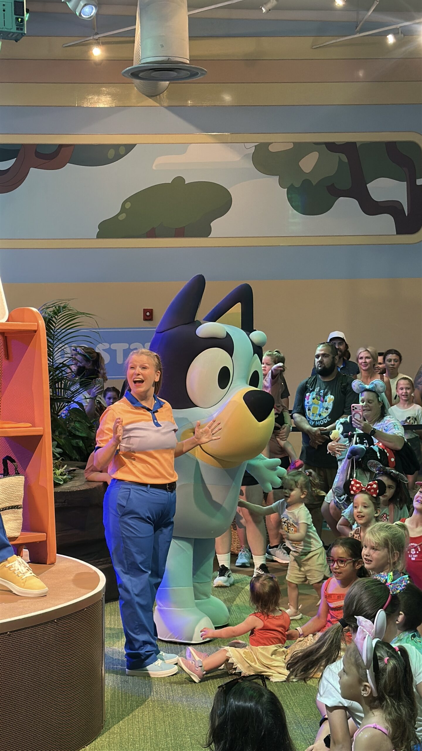 Bluey's Wild World