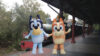How to Join the Virtual Queue for Bluey’s Wild World at Conservation Station