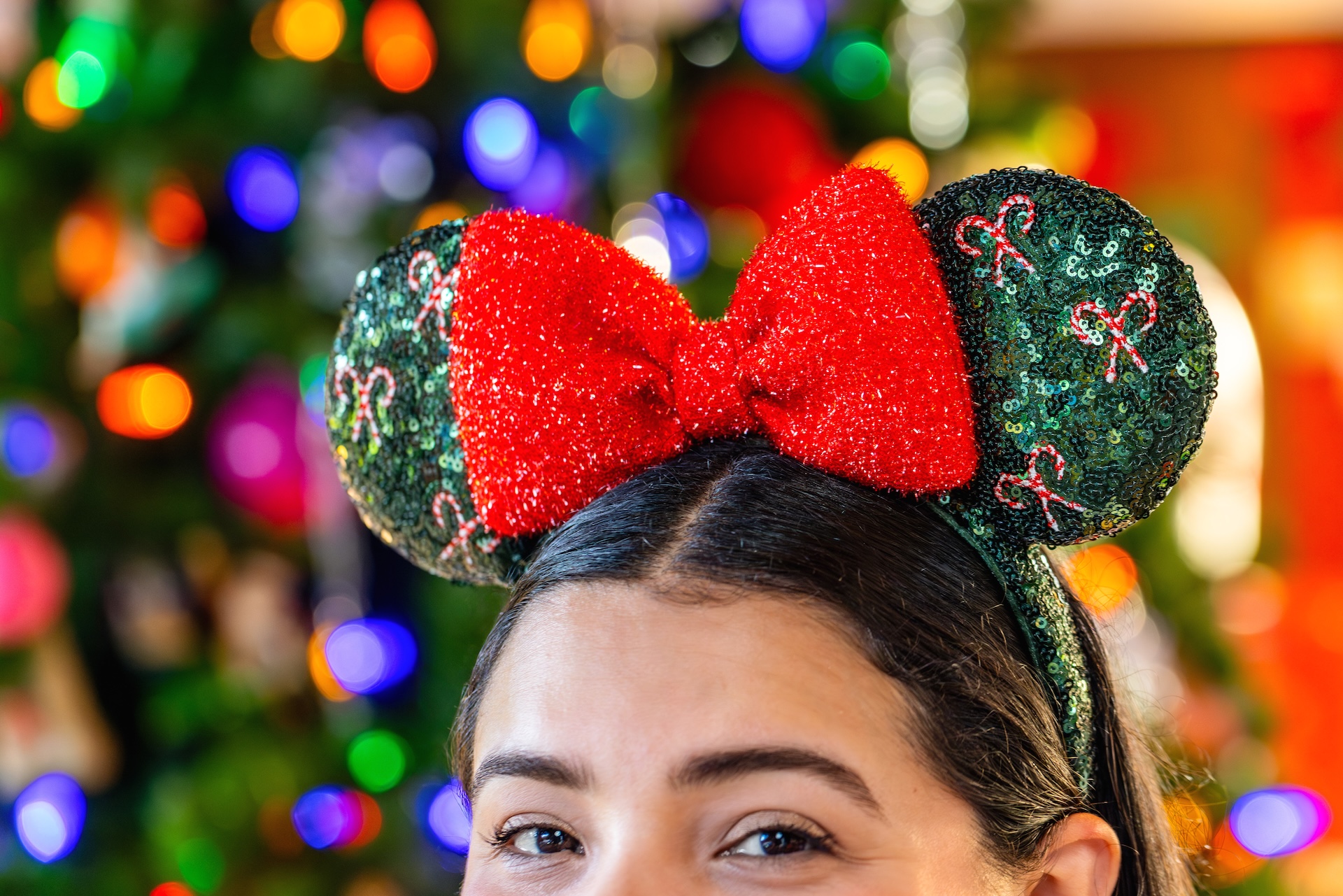 2026 dcp holiday merch preview 8