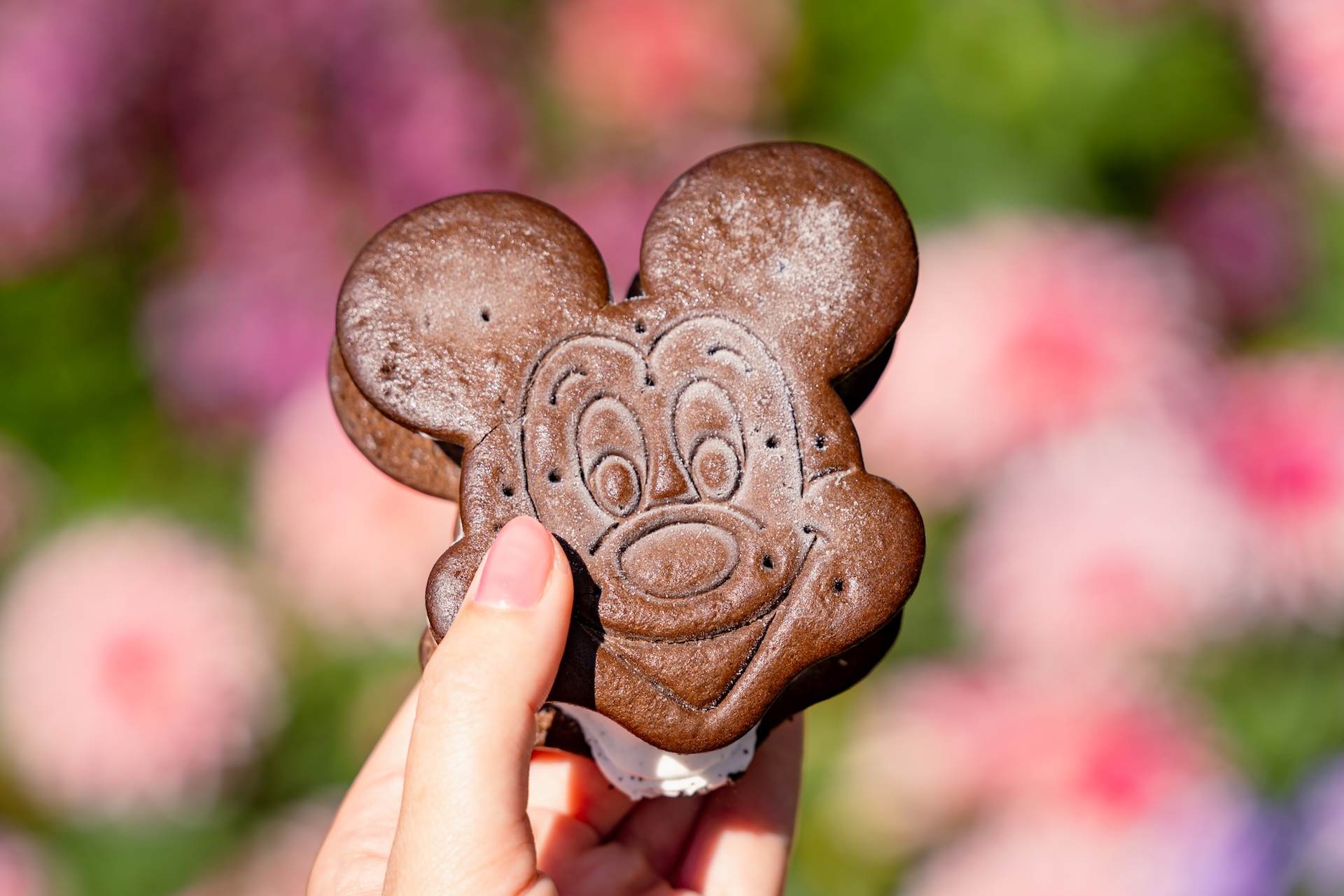2026 dlr cold summer treats roundup 1