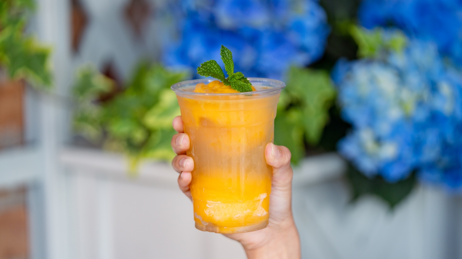 2026 dlr cold summer treats roundup 21