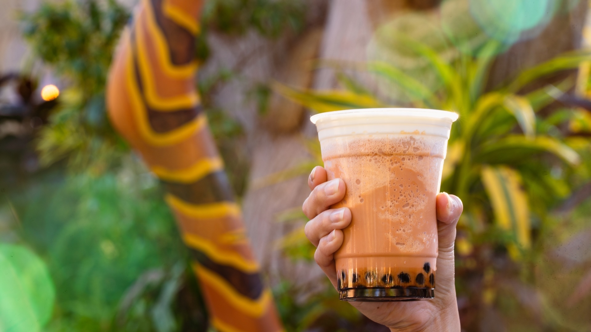 2026 dlr cold summer treats roundup 9