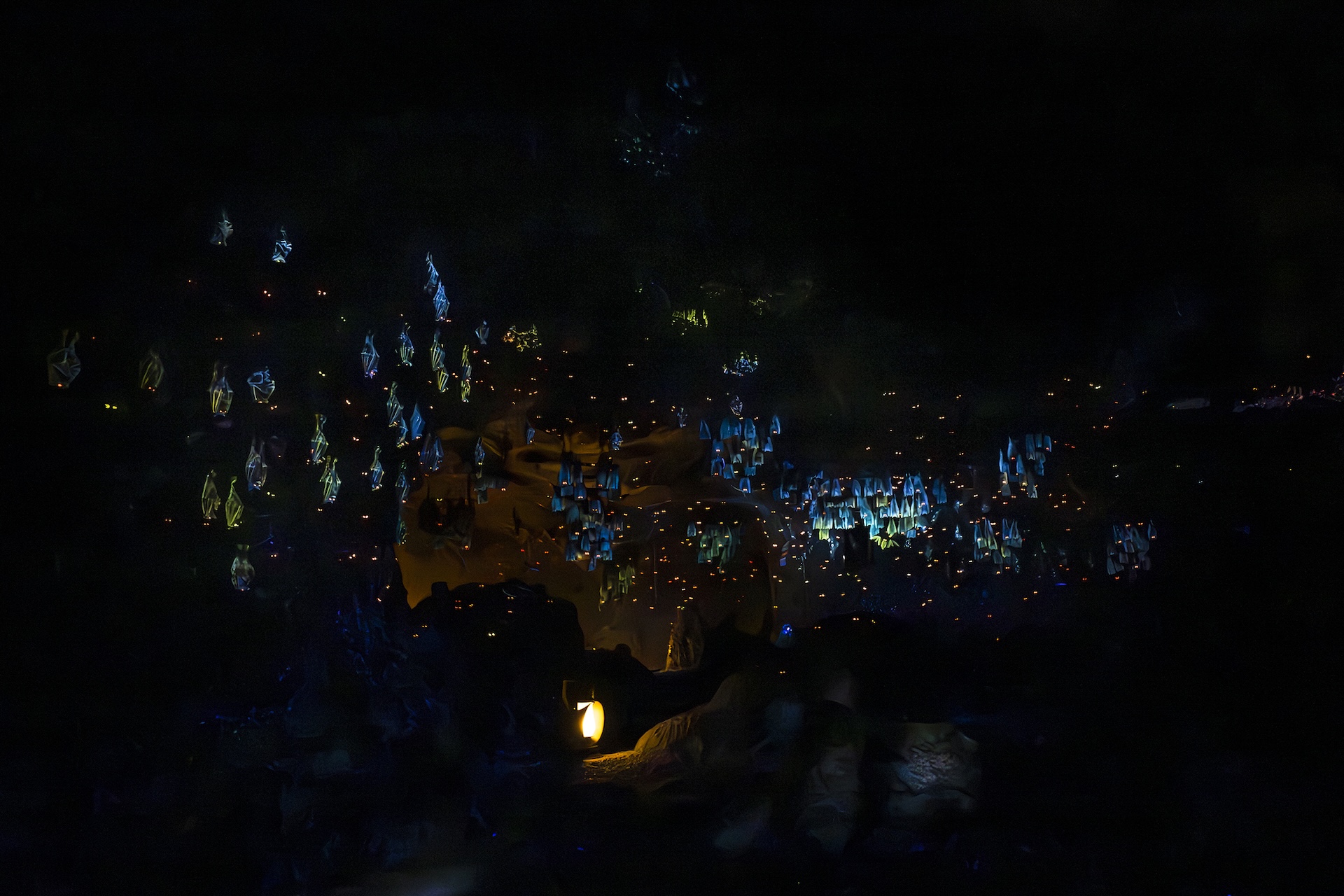 2026 wdw big thunder mountain