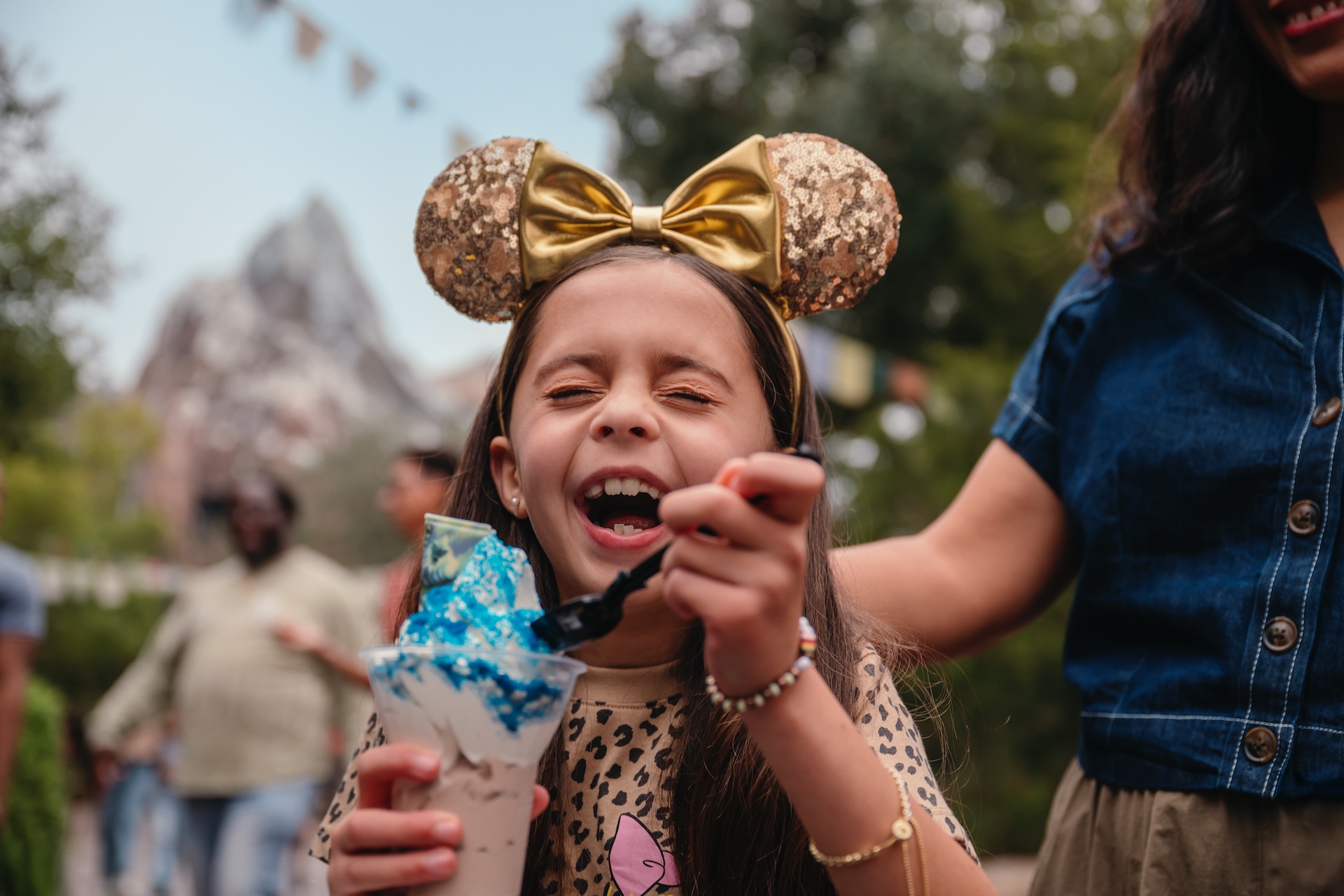 2026 wdw dining plan 2