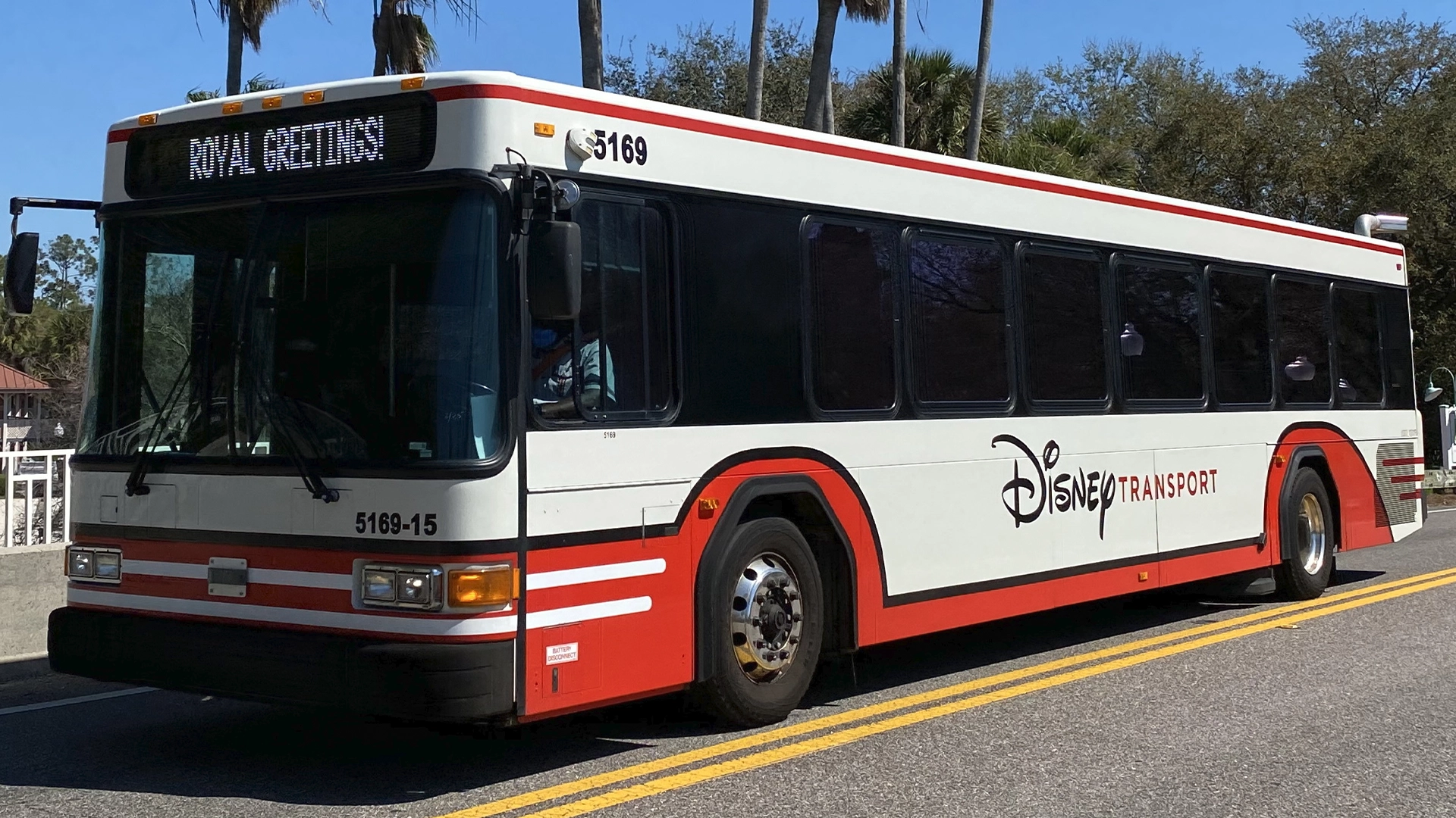Disney Bus