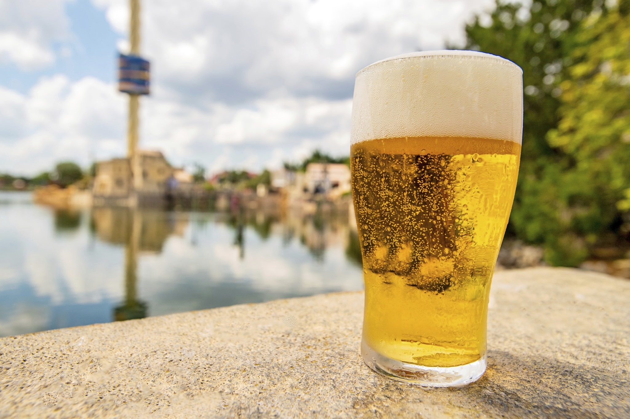 Complimentary Beer Returns