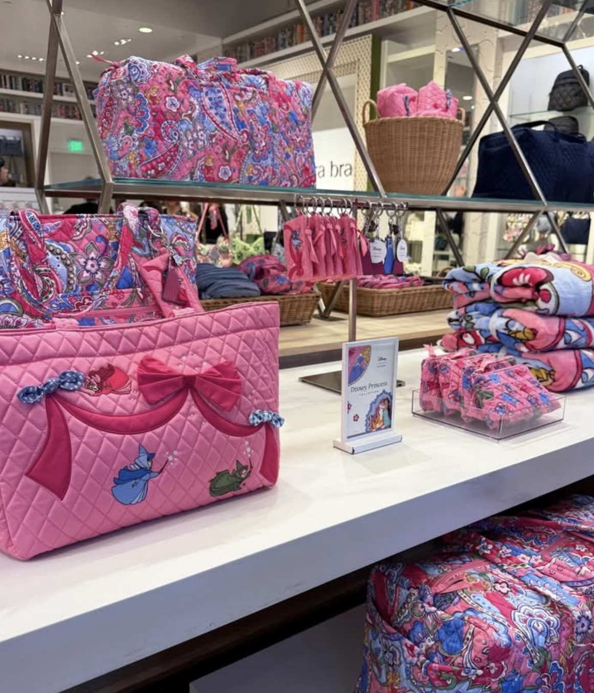 Disney Vera Bradley