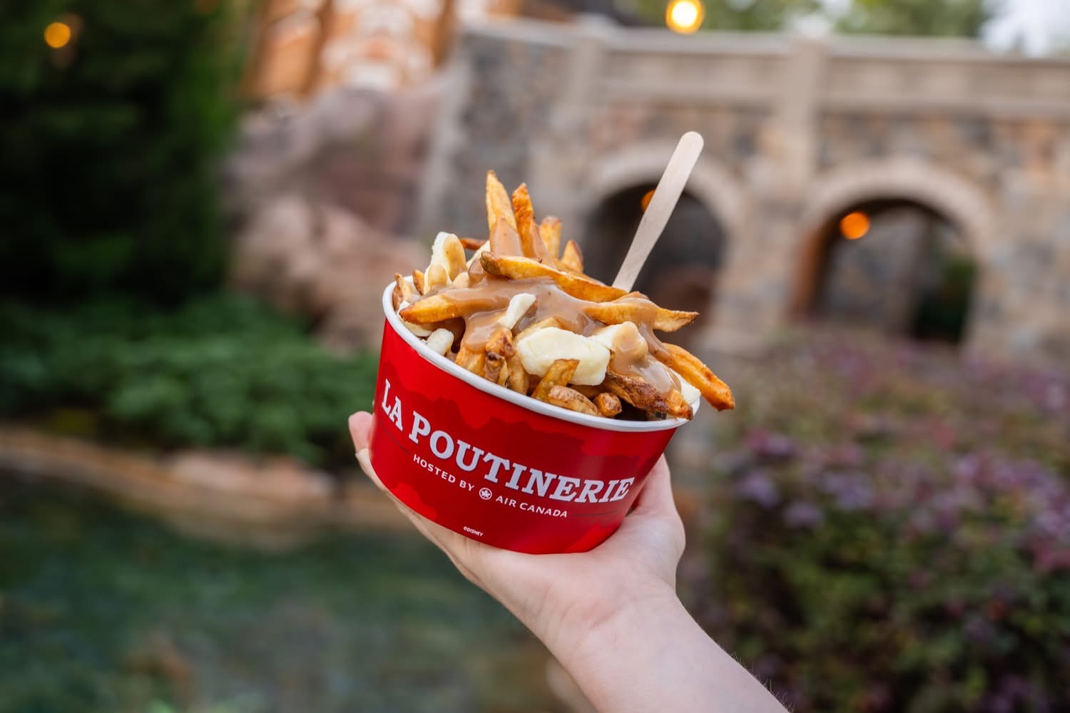 Poutine Canada Epcot | The Main Street Mouse Poutine Canada Epcot