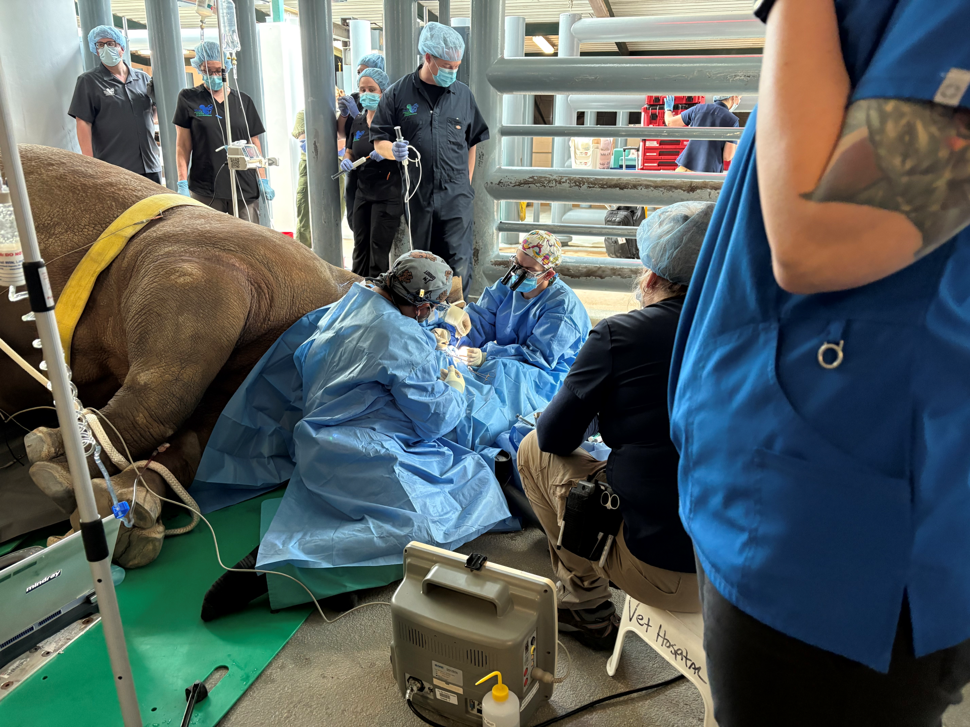 KendiEyeSurgery | The Main Street Mouse Kendi eye surgery