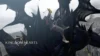 New Kingdom Hearts 4 Trailer Reveals Donald, Goofy, and Returning Characters