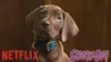 Netflix Releases First Teaser for Scooby-Doo: Origins Live-Action Series
