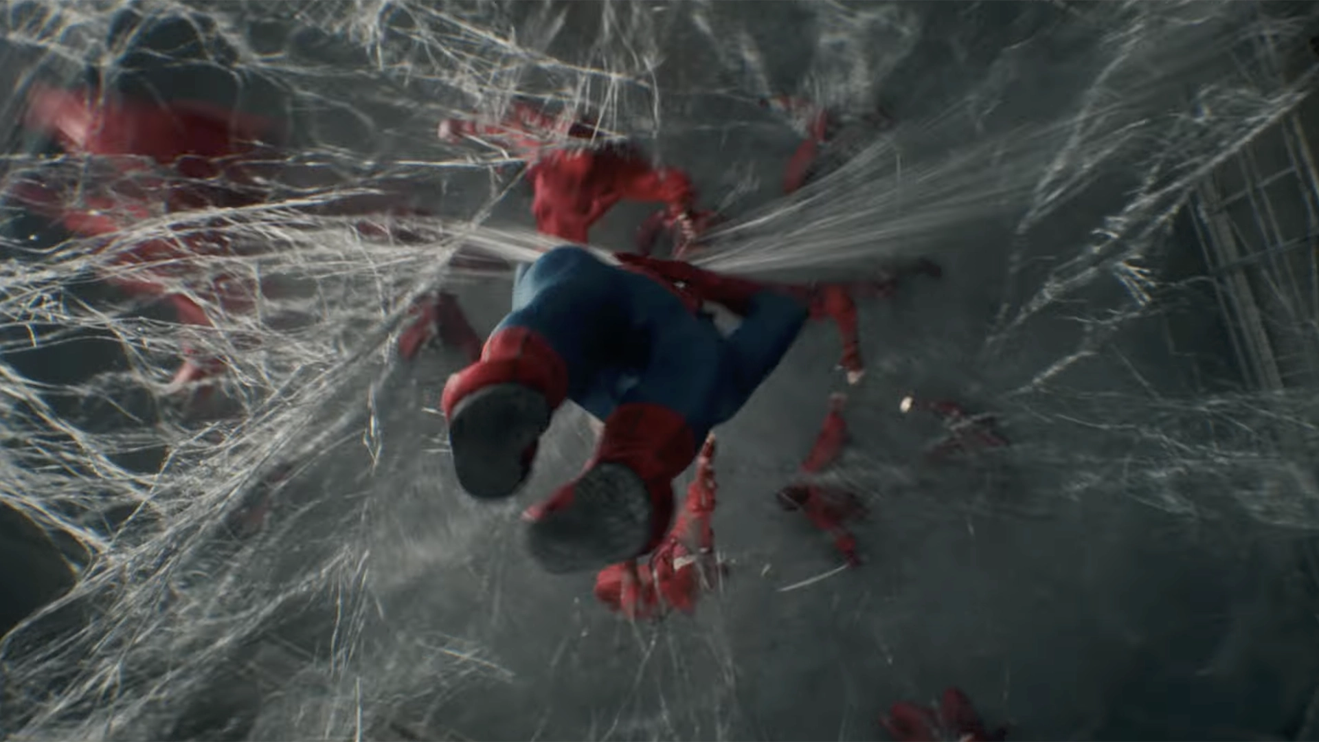 Spider