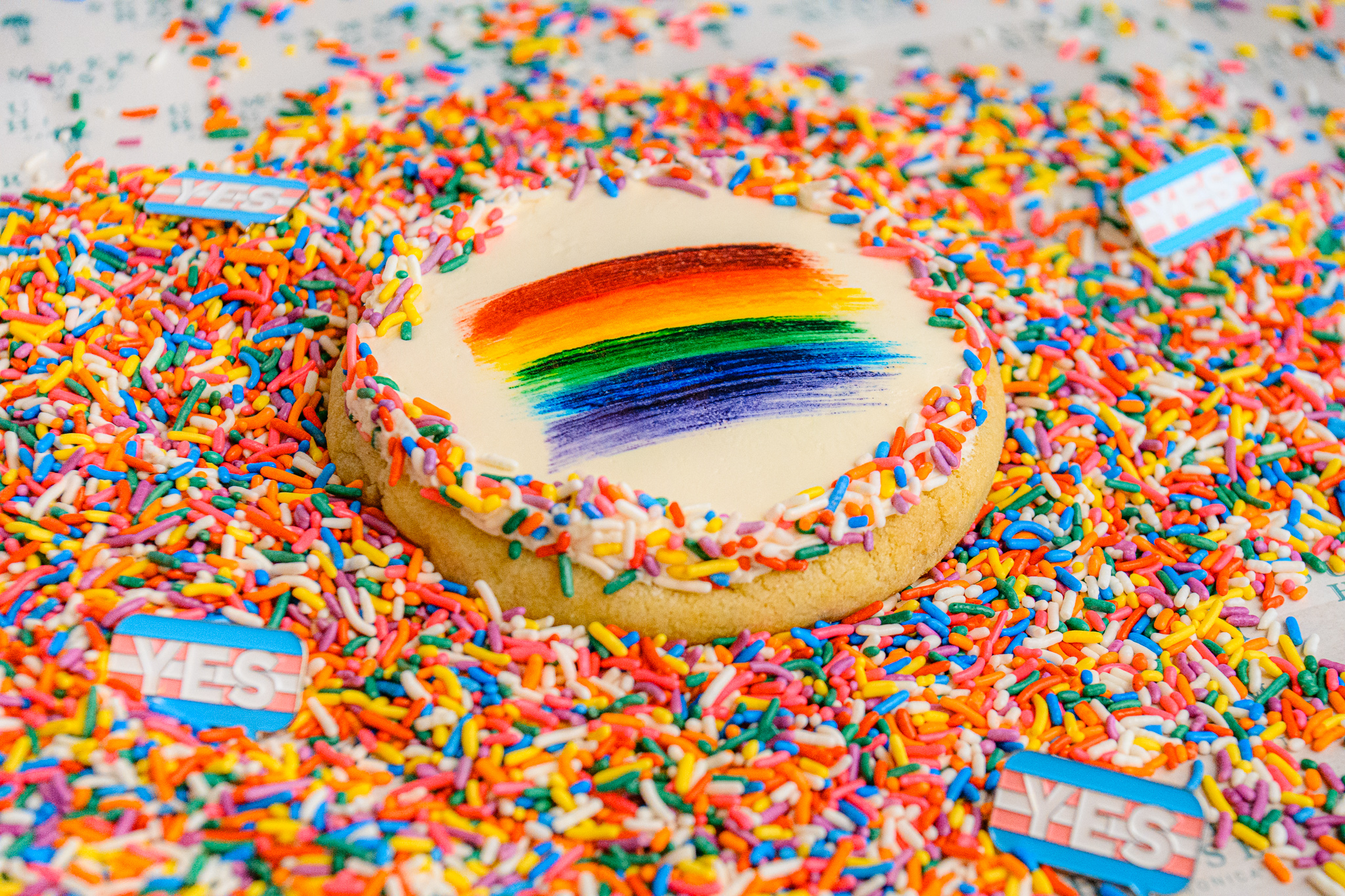 Summer House pride Cookie2 david Borzkowski