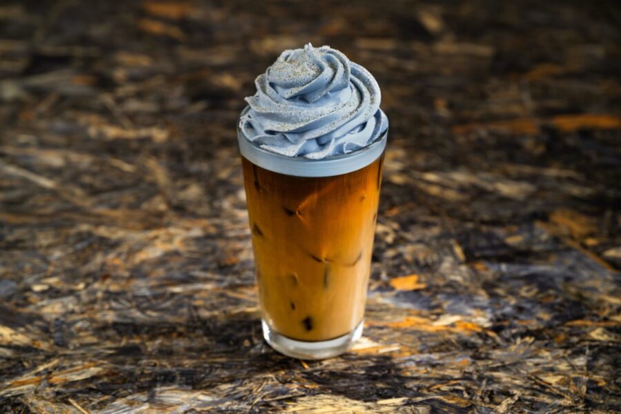 Specialty Chai Cold Brew | The Main Street Mouse Specialty Chai Cold Brew