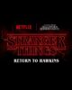 Stranger Things: Return to Hawkins Show Announced for HHN Universal Orlando